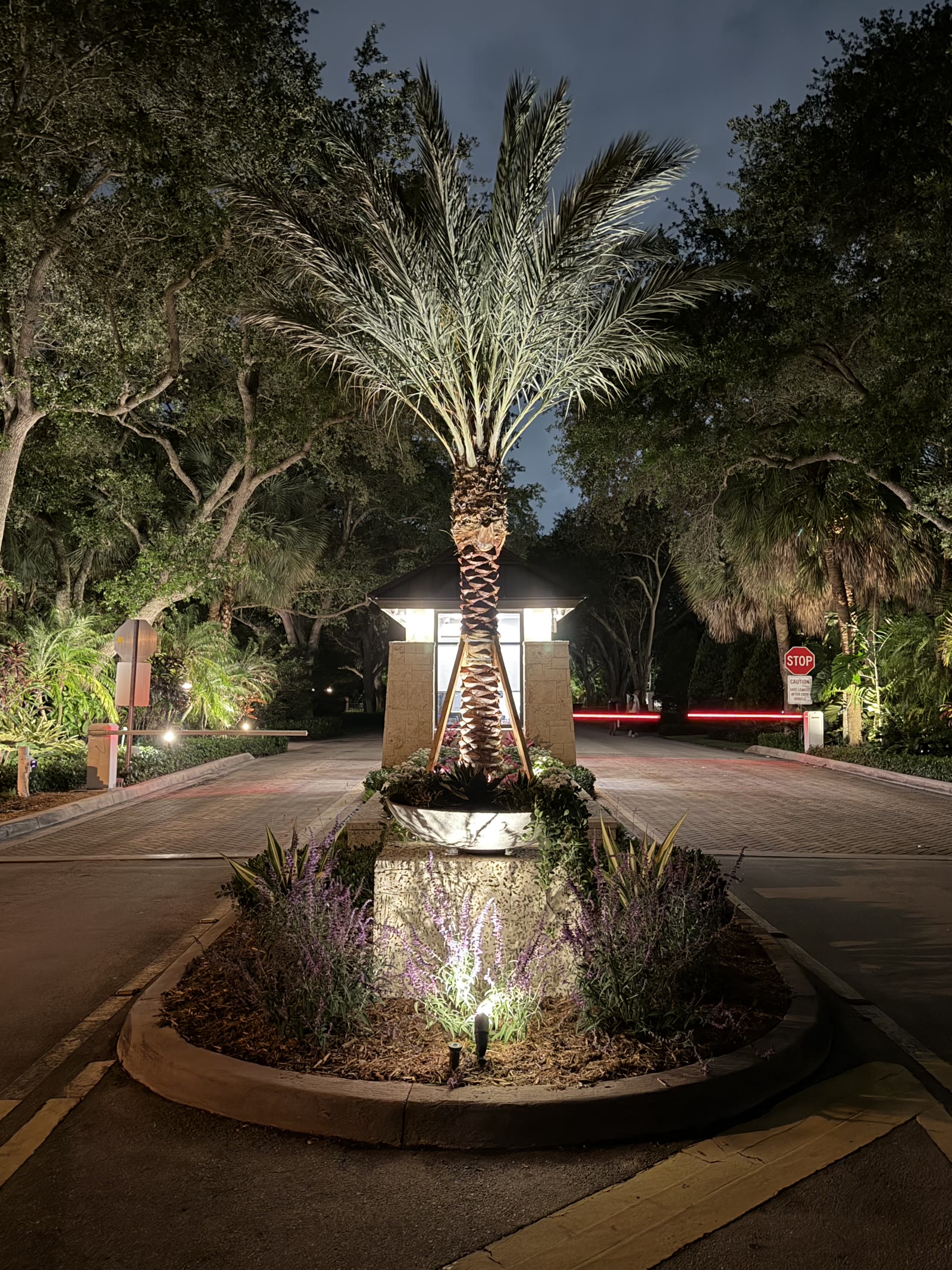Same entry at night with an uplit specimen palm and planted island in place of the trough